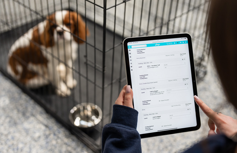 O iPad permite que cuidadores atualizem a situação dos animais de estimação, como ingestão de alimentos e medicamentos, em tempo real usando o Gingr, um app de gerenciamento de pet shop.