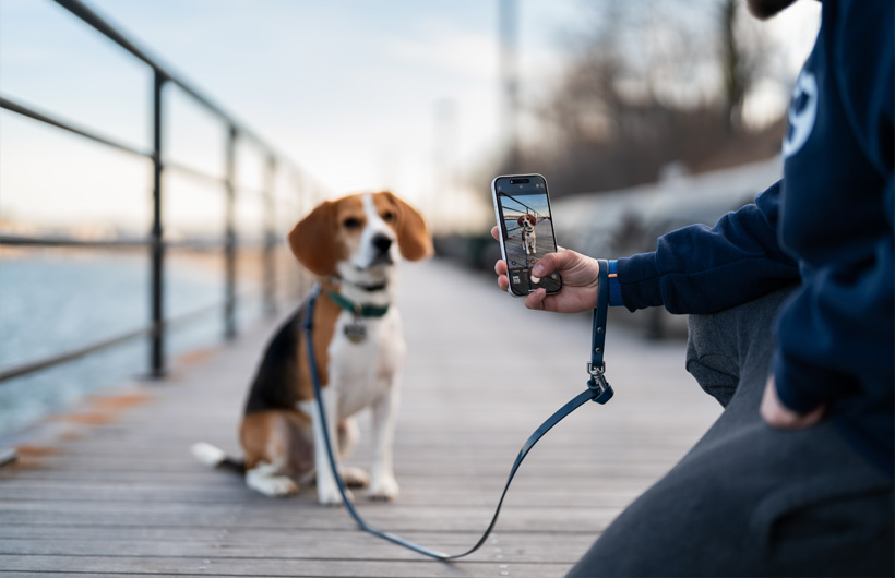 A qualidade excepcional da câmera do iPhone refina as fichas dos animais de estimação para seus tutores.