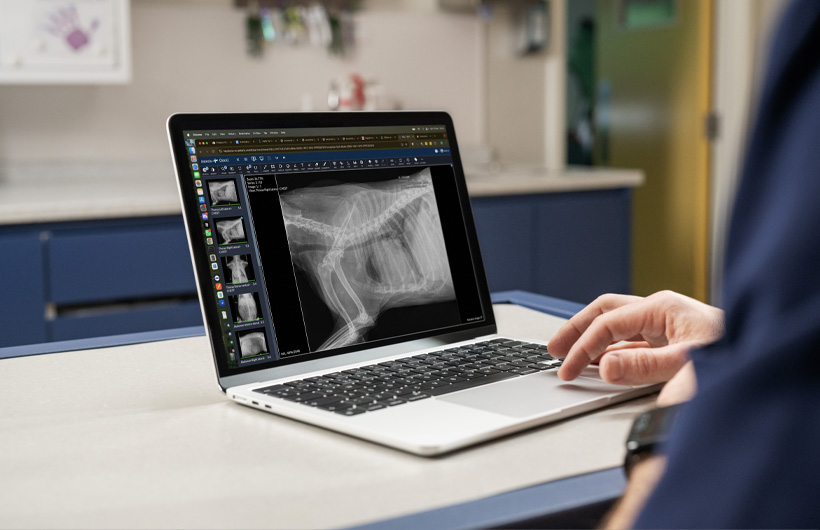 Raios-x detalhados e ultrassons são visualizados na hora, no MacBook Air.
