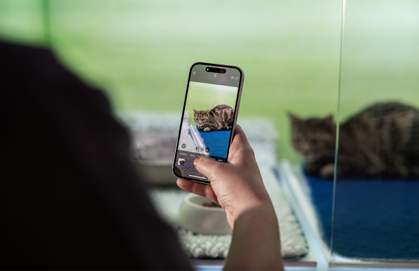 A equipe de enfermagem usa o iPhone para enviar atualizações com fotos dos pets. Uma dose a mais de tranquilidade.