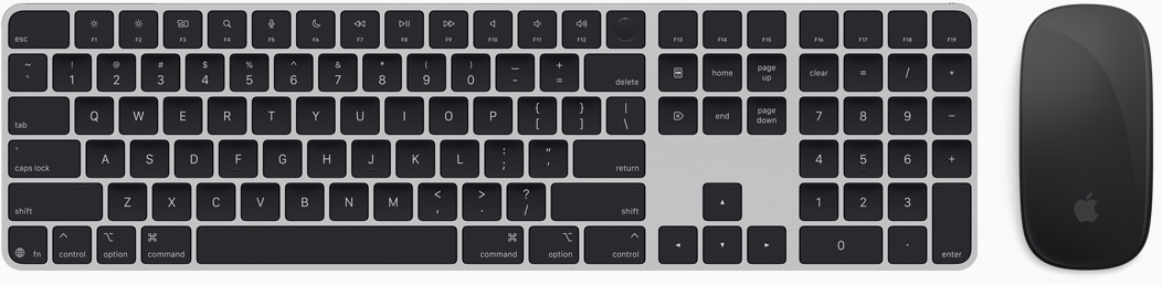 Magic Keyboard og Magic Mouse set ovenfra